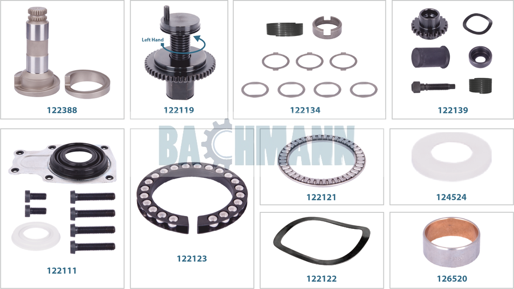 Caliper Complete Repair Kit (Left)