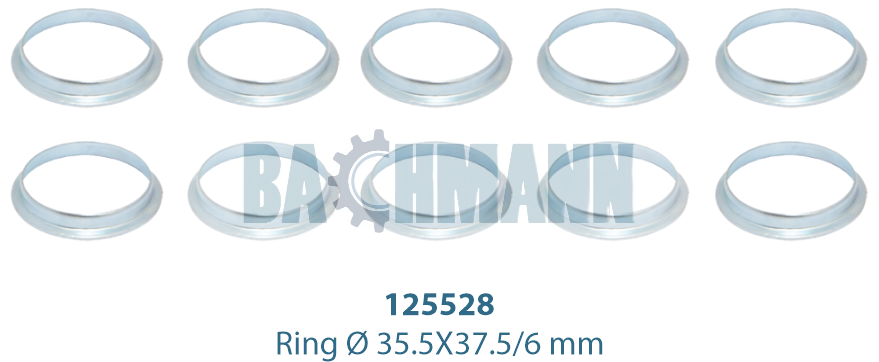 Caliper Ring Kit