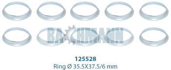 [122149] Caliper Ring Kit