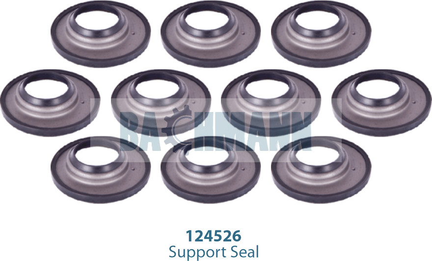 Caliper Seal Kit