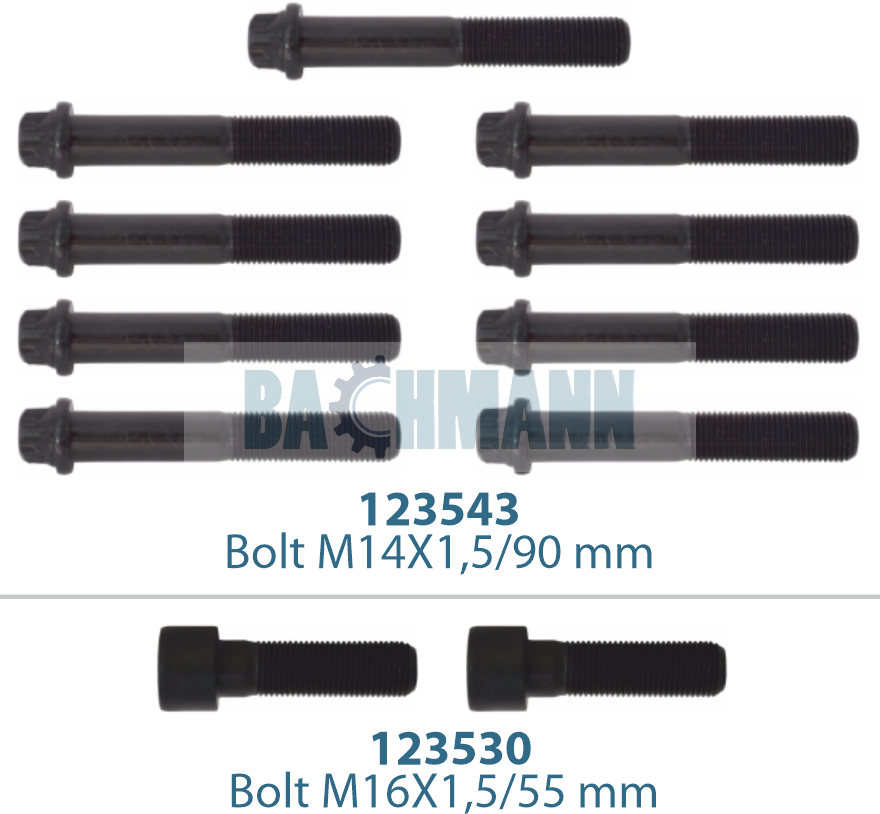 Caliper Cover Bolt Kit