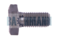 Caliper Bolt 