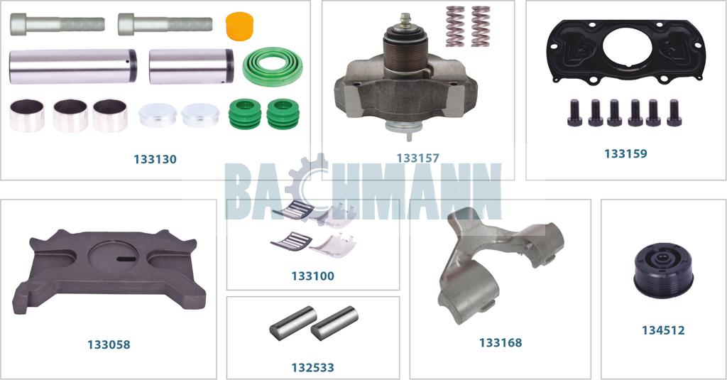 Caliper Complete Repair Kit (Left)