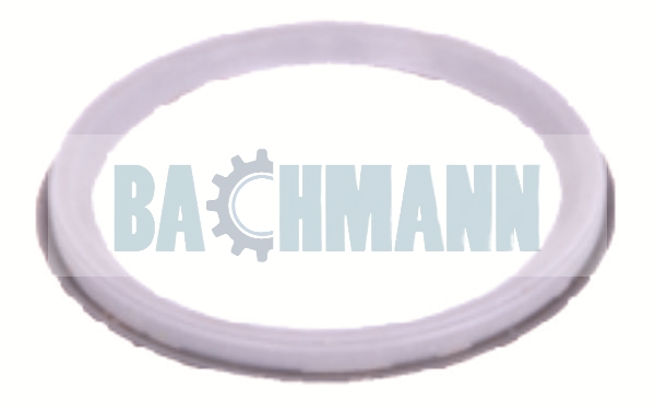 Caliper Cover Seal