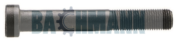 Caliper Bolt M12X1.25/85 mm