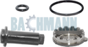 Caliper Adjuster Locking Pin Kit